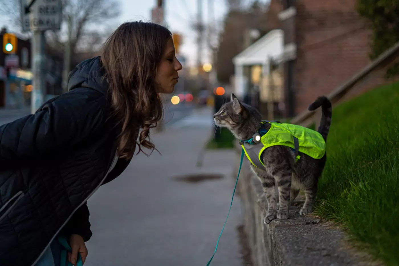 Tevreden klanten die met een kat reizen