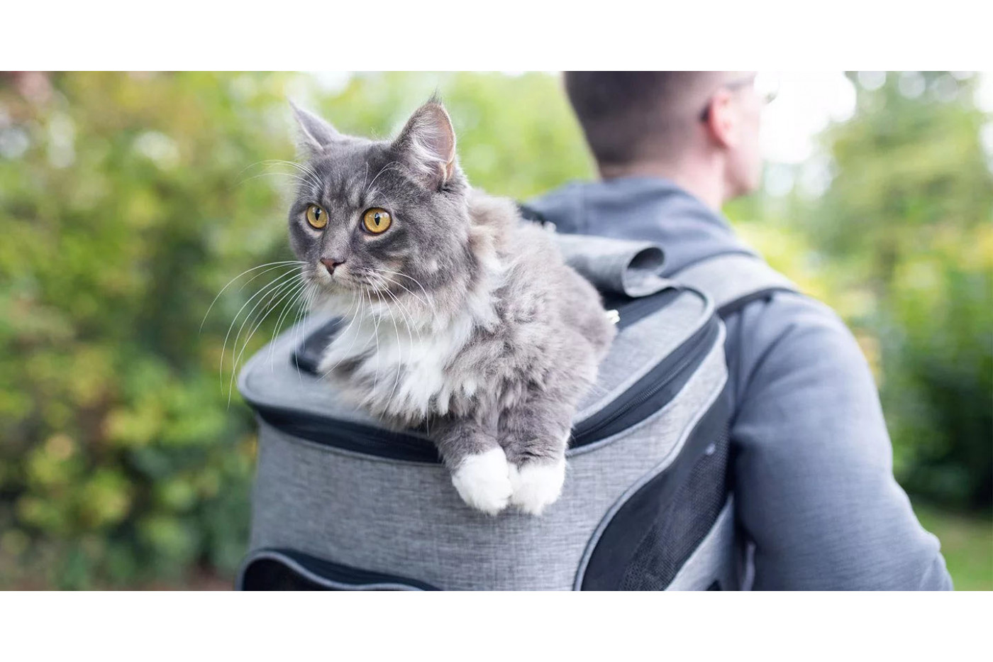 Tevreden klanten die met een kat reizen