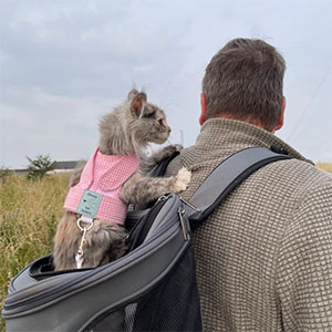 Kattenrugzak voor grote katten