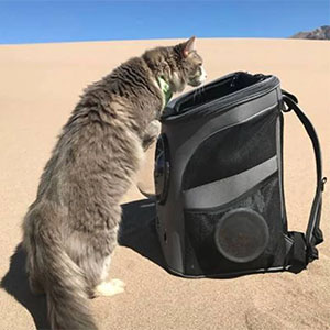 Kattenrugzak voor grote katten