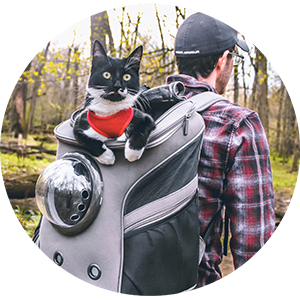 Kat gaat graag wandelen in een kattenrugzak