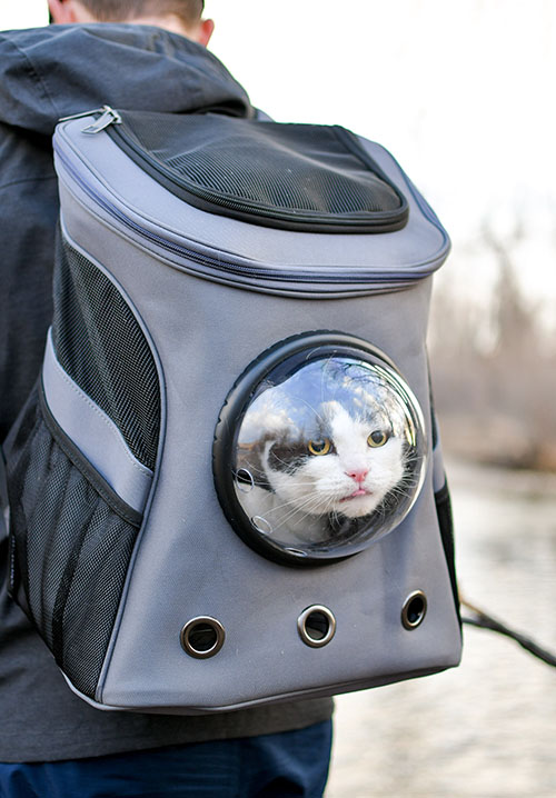 Ruimtecapsule kattenrugzak