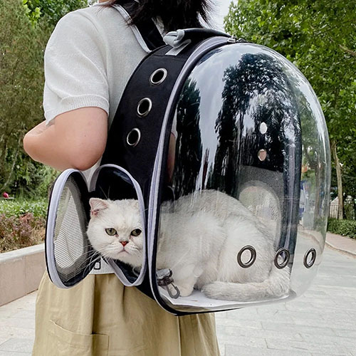 Kattenbubbelrugzak